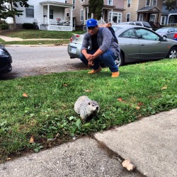 niggafuckurblog:  wavy-crockett:  wavy-crockett:  I love this picture.  When the fuck this get 40 notes? Y’all be showing mad love  Cuz my nigga what kinda marsupial is that  On the block with a ground hog!