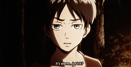 commandereyebrows:  slay-kyojin:  shingekinodenim:  PEOPLE GIVE MIKASA SO MUCH SHIT and it’s funny, but seriously, picture that your parents were brutally murdered in front of you - Eren literally saved her LIFE, taught her to defend for herself, provided