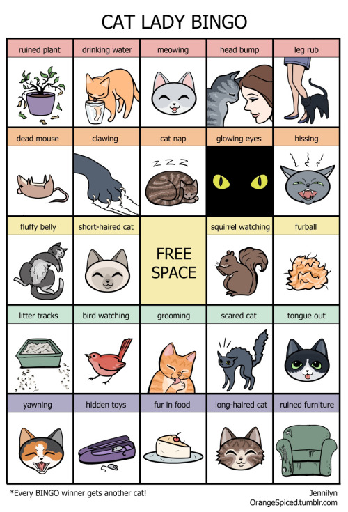 orangespiced:orangespiced:Every BINGO winner gets another cat!This was my most popular comic of 2014