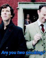 greent0grey-blog-deactivated201:Best of Season Three ↳ Mycroft Holmes