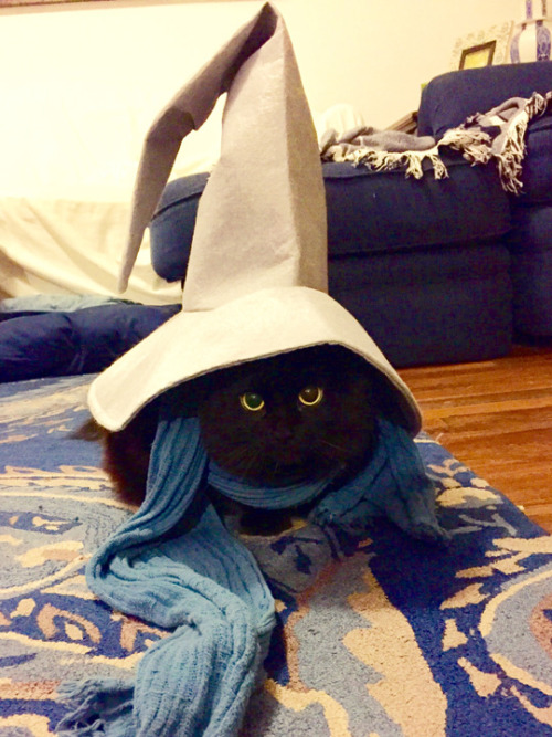 tastefullyoffensive:Black Mage (photo by captcash) I like puns and Final Fantasy, suffer with me.