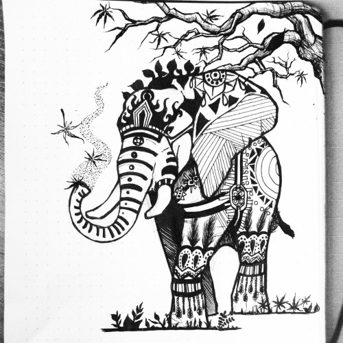 Elephant finished.