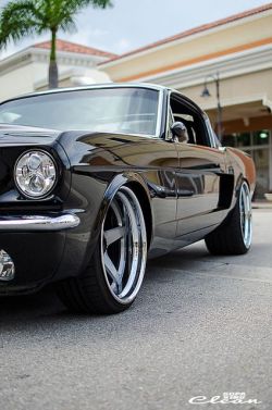 specialcar:  Mustang