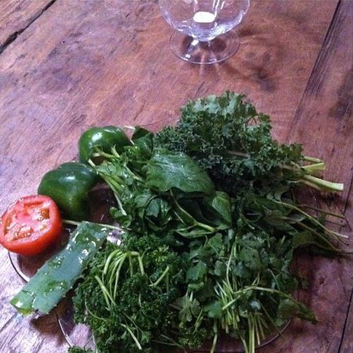 In today’s juice? Kale, aloe vera, spinach, mint, tomato, parsley, bell pepper and cilantro! G