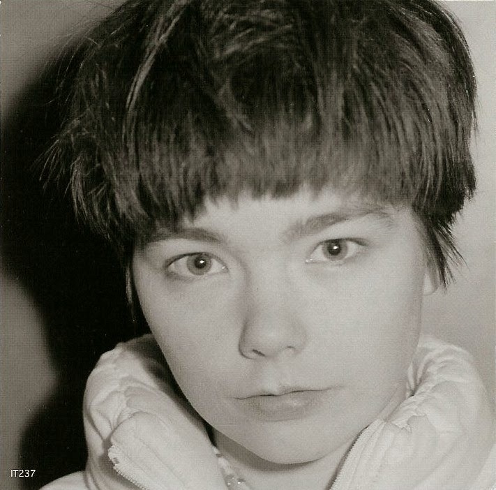 evilbjork:  Björk