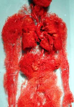 nursealik:  Here is your blood vessels on a table.  