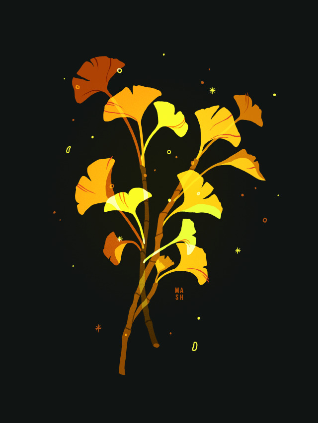 My Southern California botanical series. “Gingko”, “Common Goldenstar”, and “Opuntia Cactus”. Find prints and more.