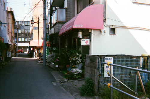 写ルンです／避日