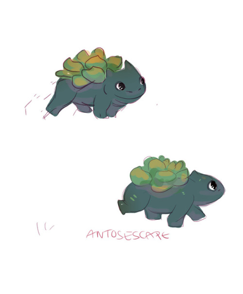 antosescape:  how Lil succulent Bulbasaurs are born <3  please do not repost on other sites 