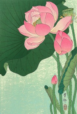Cup-Of-Meat:   “Flowering Lotus”, Ohara Koson. 