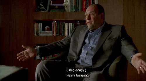 tony soprano reluctantly said gay RIGHTS