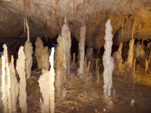 Peștera Urșilor (Bears Cave), Apuseni Mountains / Romania.