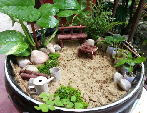 instructables:Miniature Garden for BeginnersI love miniatures! I always had a plan of making a minia