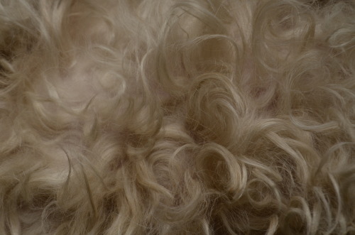 Texturas.