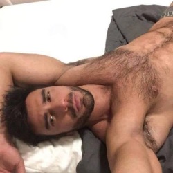 bearpitpig:  #HairyPits #Armpits #Bear #Pits