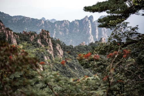 weekend trip from shanghai to huangshan:we took the yuping (jade screen) cable car up to the essenti