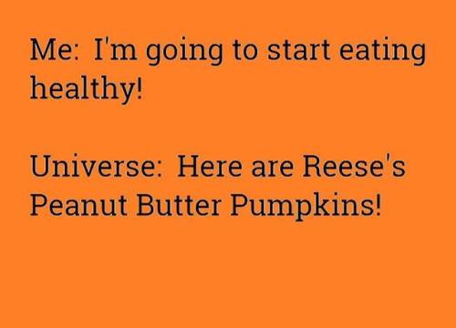 tenderlyfuzzybeard: Fuck @tenderlyfuzzybeard Really? Had to pull out the Reese’s Punkins. Than