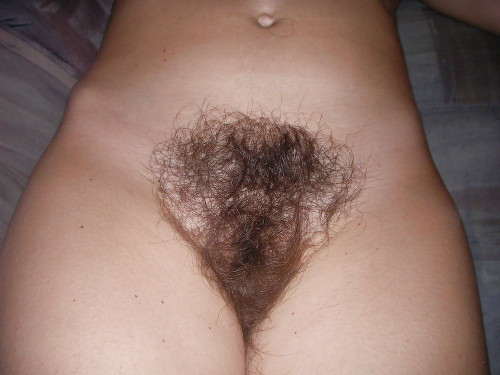 griego1965: horemheb26: Hairy done right!! Beautiful pussy bush Mmm mmm