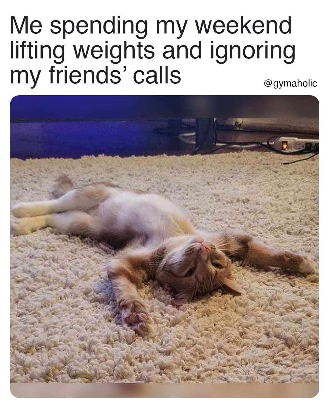 Me spending my weekend lifting weights