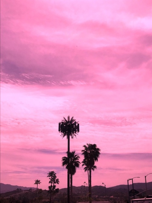 Palms trees+sunsets = happy may