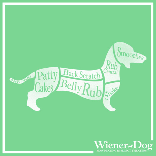 Which part of #ToddSolondz’s pitch black comedy, @wienerdogmovie, was your favorite? gw