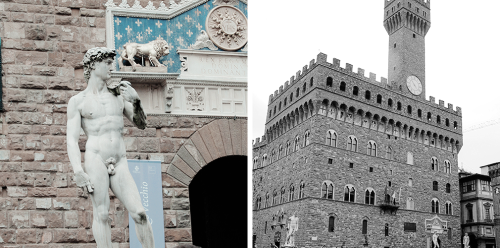 hormonegrangerrr:ｓｔｒｅｅｔｓ ｉｎ ｆｌｏｒｅｎｃｅ.- { italian places meme.} “O animal grazioso e benignoche visit