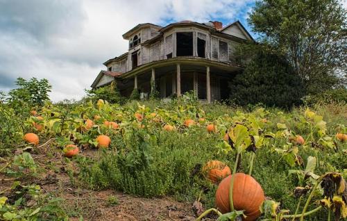 abandonedandurbex: The abandoned house in the pumpkin field [5374 x 3415] Northwestern North Carolin