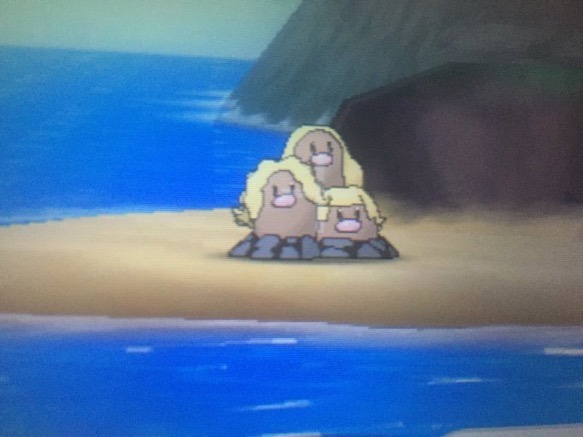 mosaicub:  imthehuggernaut:  Alolan form: Dragtrio Special ability: Get Sickening