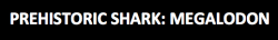 discodick:  sixpenceee:  PREHISTORIC SHARK: