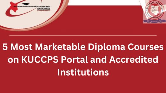 5 Most Marketable Diploma Courses on KUCCPS Portal and Accredited Institutions
