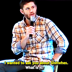jensengifsdaily:  [x] 