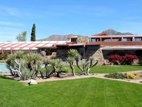 Desert Landscaping, Talesin West, Arizona, 2014.While some of this landscaping does capture the dese