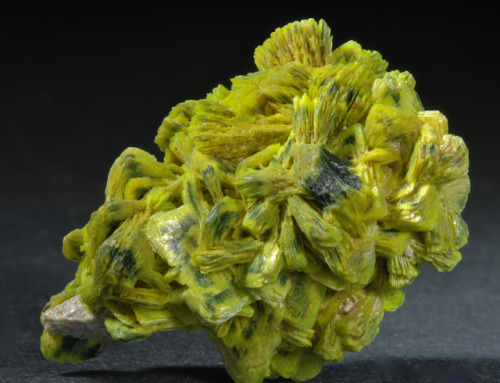 Autunite - Daybreak Mine, Spokane County, Washington