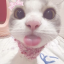 mimiforu