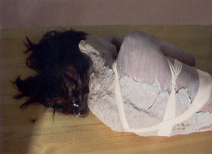 ortut:  Björk - From the booklet/album Family Tree (Box Set), 2002
