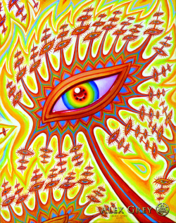 psychedelicpreacher:  entheognosis:   Orphanic Eyelash by   Alex Grey    Follow Psychedelic Preacher.You won’t regret it!