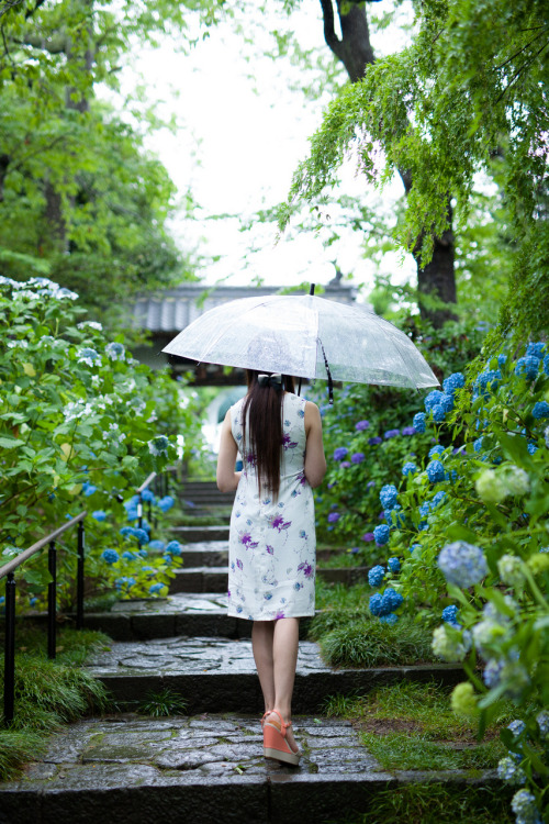  PORTRAIT PHOTO SENDAI / 2015model あいなさん6月。紫陽花と雨。鮮やかな緑と青、紫の中に立つ女性。 