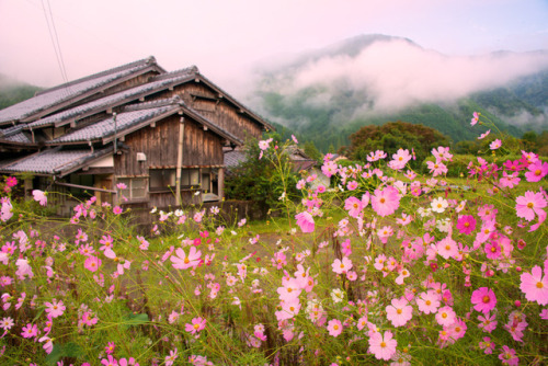 mysecretlife101: sixpenceee:  The Kumano Kodō is a series of ancient pilgrimage routes that crisscross the Kii Hantō, the largest Peninsula of Japan. These sacred trails were and are used for the pilgrimage to the sacred site “Kumano Sanzan” or