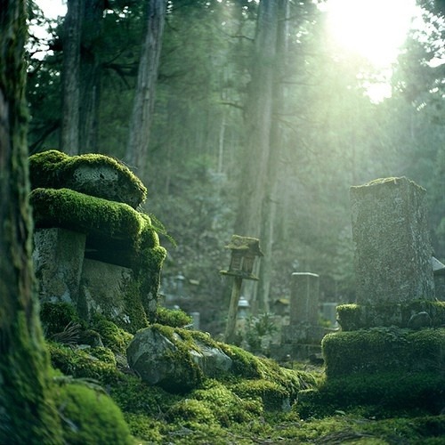 innerbohemienne:  Okunin graveyards in Koyasan in the Kii Mountain Ranges, Japan