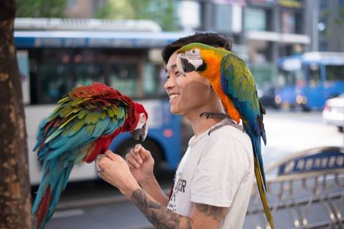 humans-of-seoul: “Actually my girlfriend is afraid of birds. Even just seeing a passing pigeo