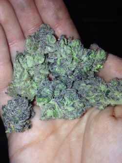 bluediamond-xo:  Grape OG 🍇💜