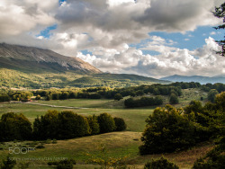 superbnature:  Passo San Leonardo by donbreda