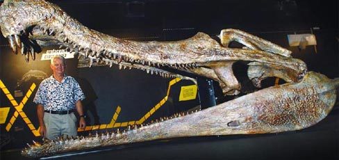 weegboi:  deamhan:   here is a sarcosuchus  its related to crocs that you would
