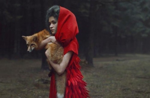 m-e-d-i-e-v-a-l-d-r-e-a-m-s: Magical shots of girls interacting tenderly with wild animals  Pho