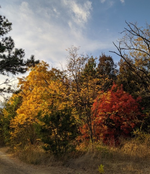 "There Is No Better Time Than The Autumn To Begin Forgetting The Things That Trouble Us, Allowing Them