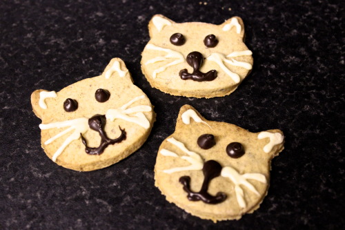 Cardamom Cats150g | Plain Flour1tsp | Cardamom, ground1tsp | Cinnamon, ground60g | Caster Sugar120g 