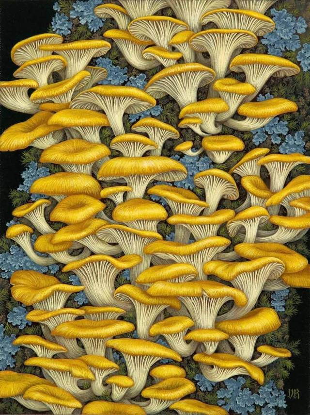 balkanparamo:Yellow Oyster Mushrooms (2022) by American artist, Vasilisa Romanenko