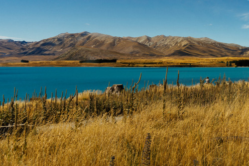 Lake Tekapo, Canterbury, NZ