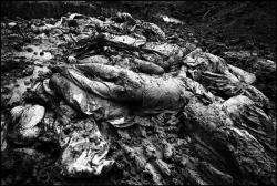 disfigured-humanity:  INDONESIA. Sumatra island. Banda Aceh. After the tsunami. 2005.