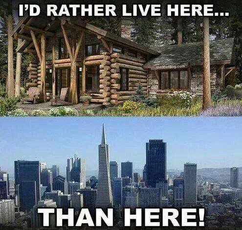 texasinmyrearviewmirror:  I wish it was this easy